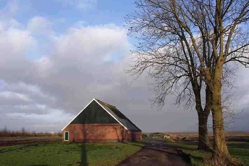 Omgeving Buinerveen
