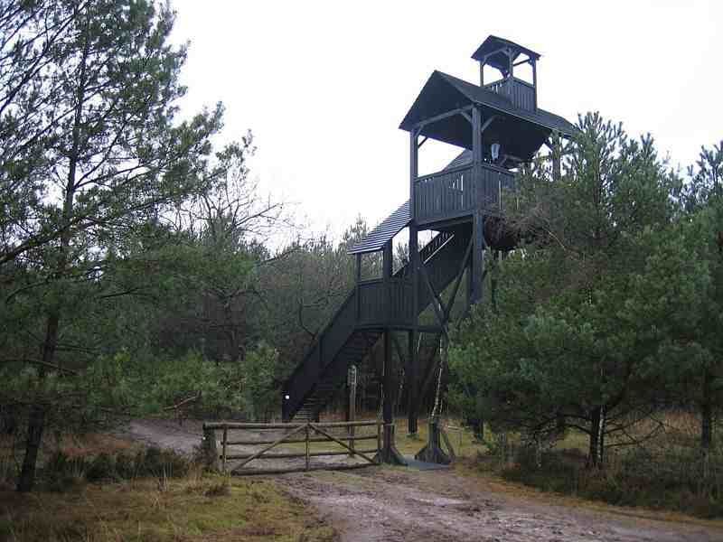 Uitkijktoren op het Doldersummerveld