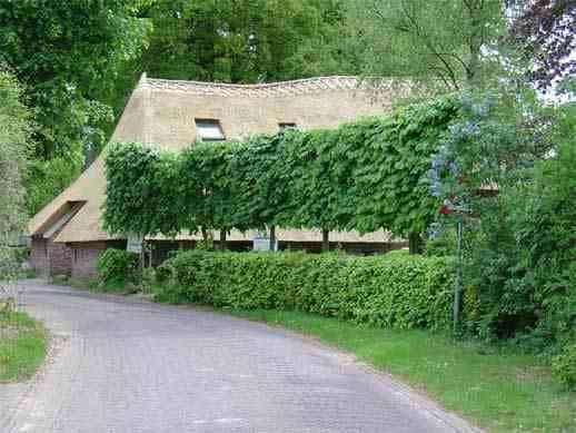 Dorpsgezicht