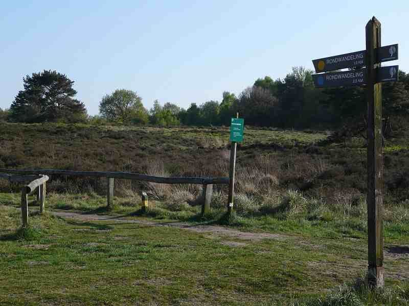 Natuurgebied de Havelterberg