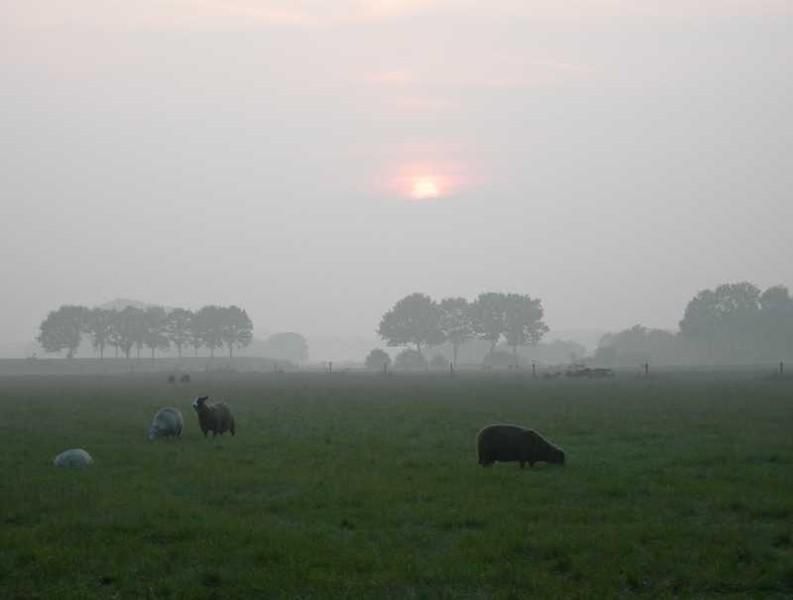 herkomst foto onbekend