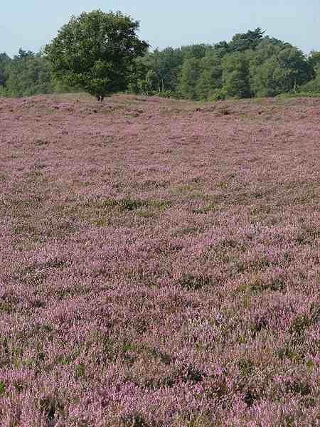 Nationaal Park Drentsche Aa