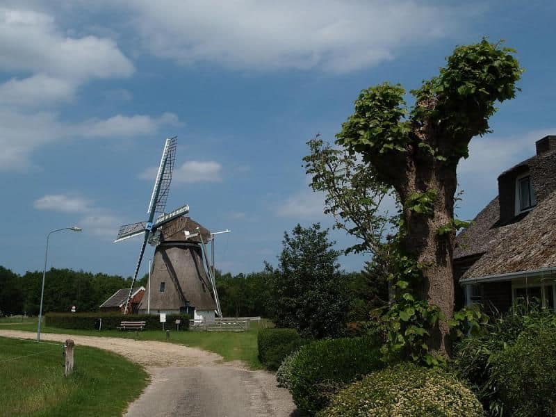 De Zwaluw