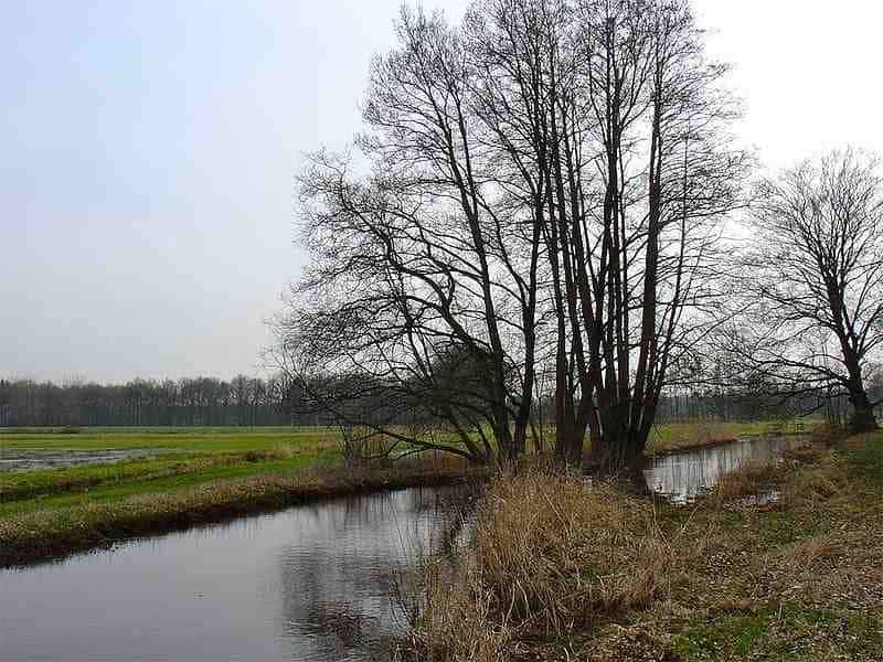 Haalweide is ook gelegen aan de Reest