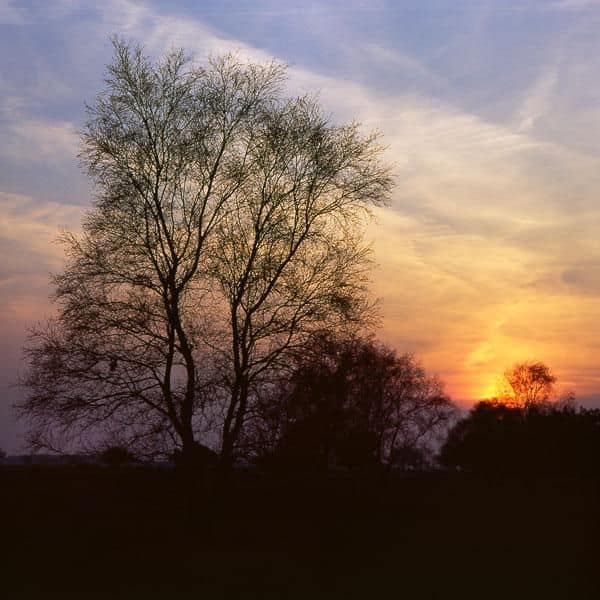 De avondzon over het  Laaghalerveen. Herkomst foto onbekend