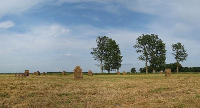 Polder Leutingewolde