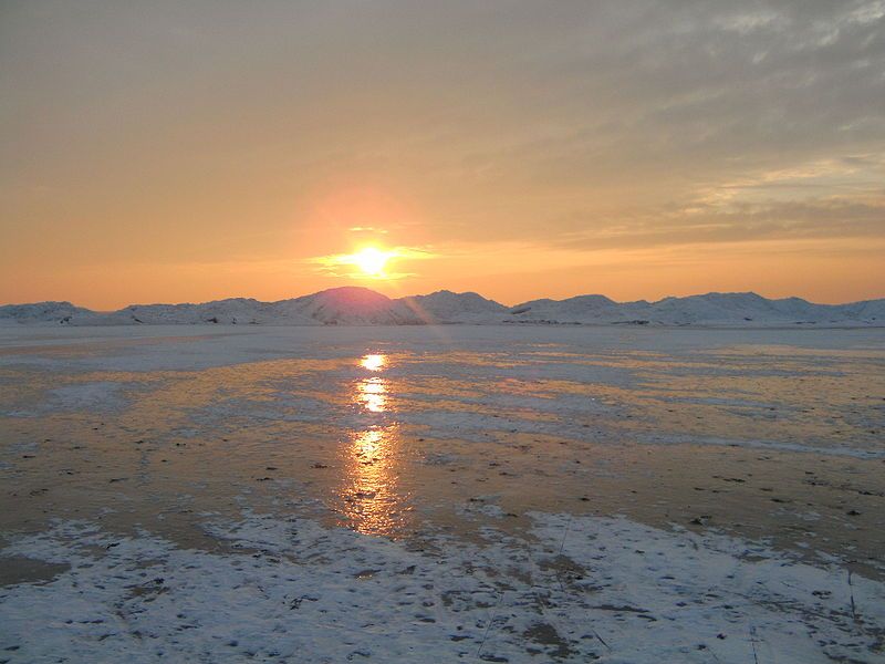 Gaast tijden de winter in 2010