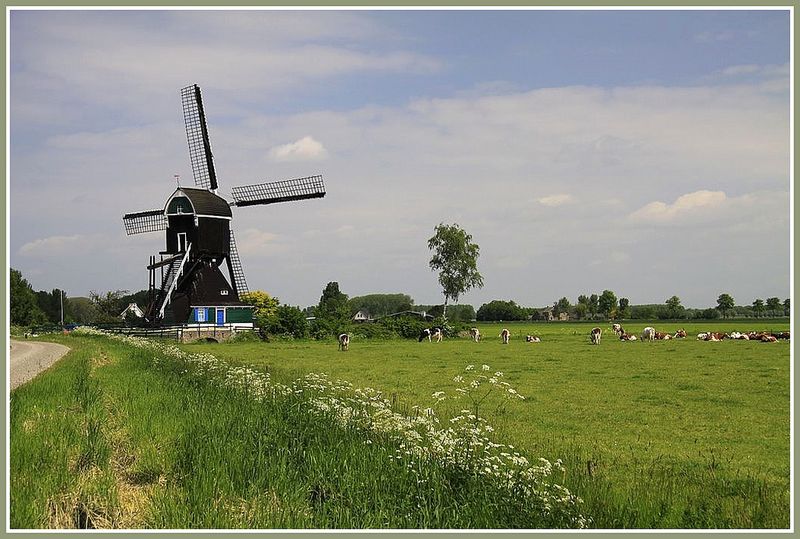 De Hooglandse Molen. Foto: Jan dijkstra