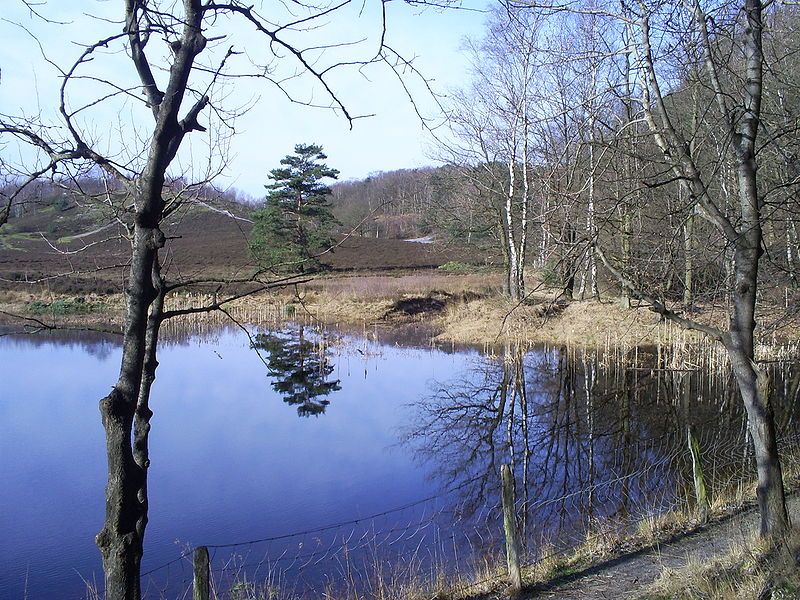 De Brunssummerheide