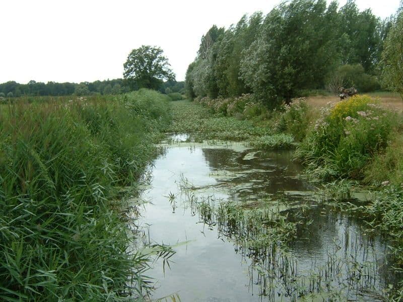 Het landschap langs de Kleine Dommel