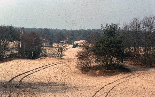 Loonse en Drunense duinen