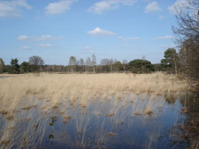 Het Zwartven in deze gemeente