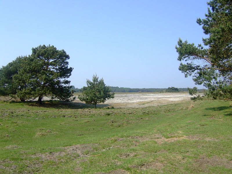 Het Plateau Hageven is een uitgestrekt natuurgebied
