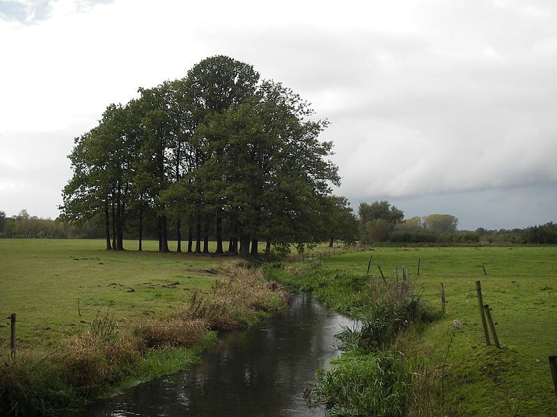 Landschap in de omgeving van Waalre.