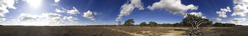 De Bussemerheide