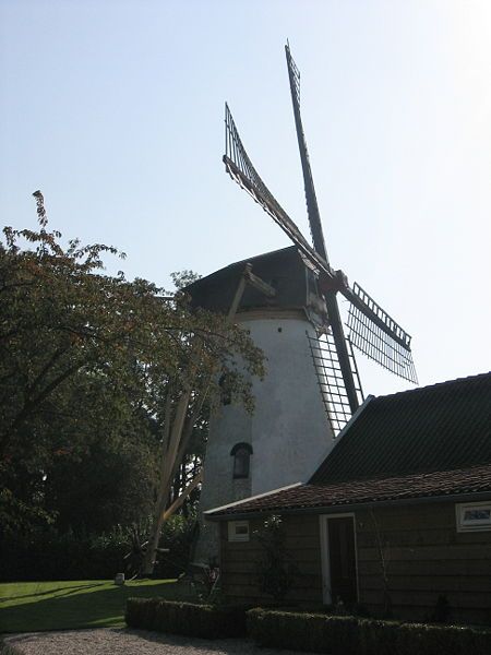 De molen in Mijnsheerenland