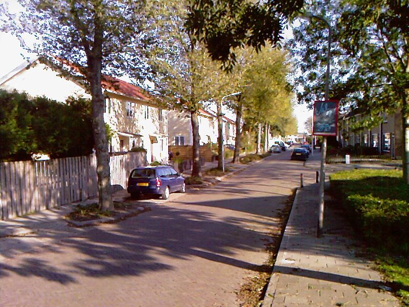 Een straat in Schenkeldijk