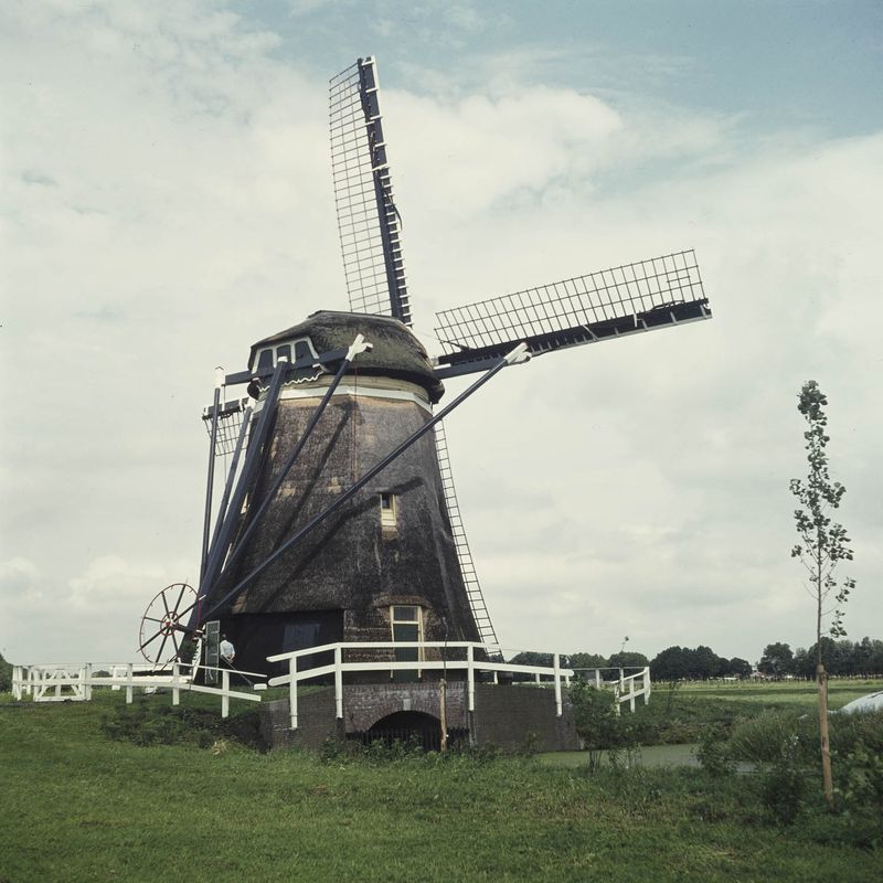 Barremolen in Zoeterwoude-Rijndijk