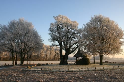 De Kroezenboom met veldkapel in Fleringen