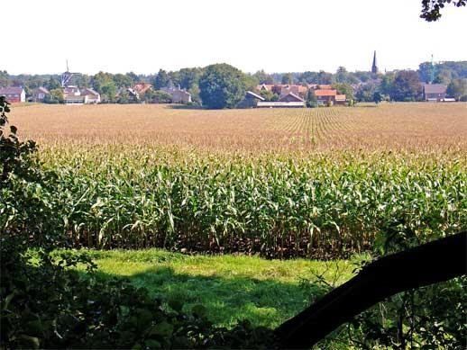 De omgeving van Hellendoorn  is rijk aan natuurschoon