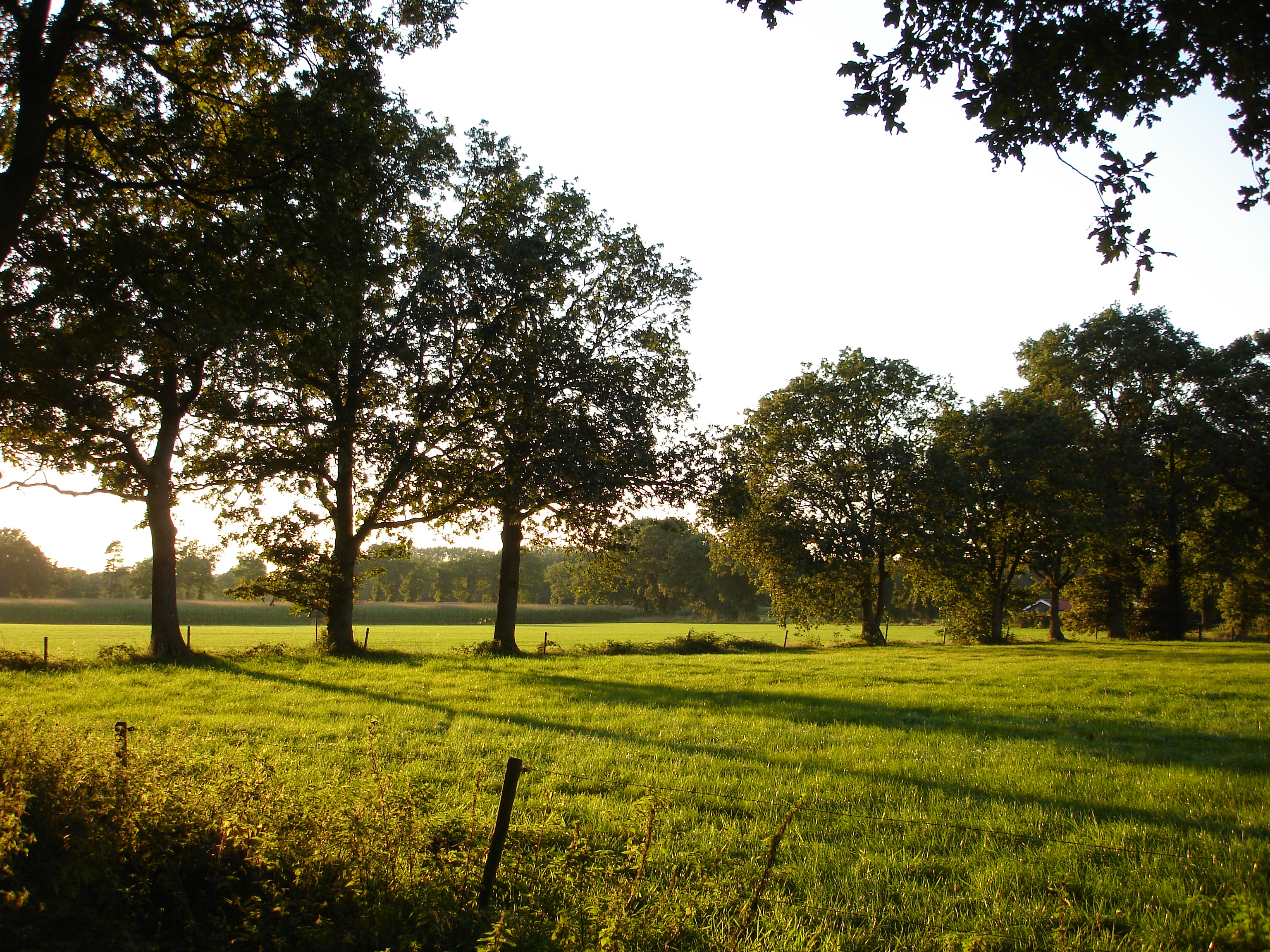 De natuur in de omgeving Rectum