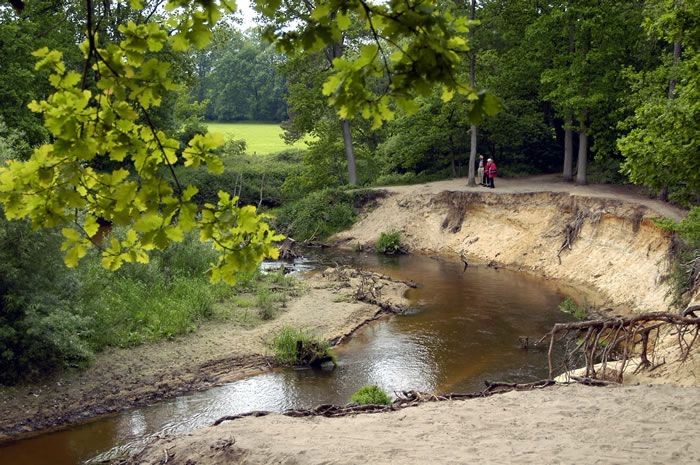 De Dinkel, meanderend door het Lutterzand