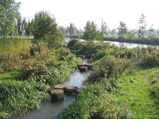 Vistrappen in de Regge nabij Hankate