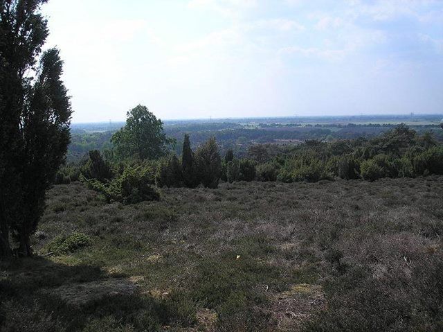 Natuurgebied het Lemelerveld