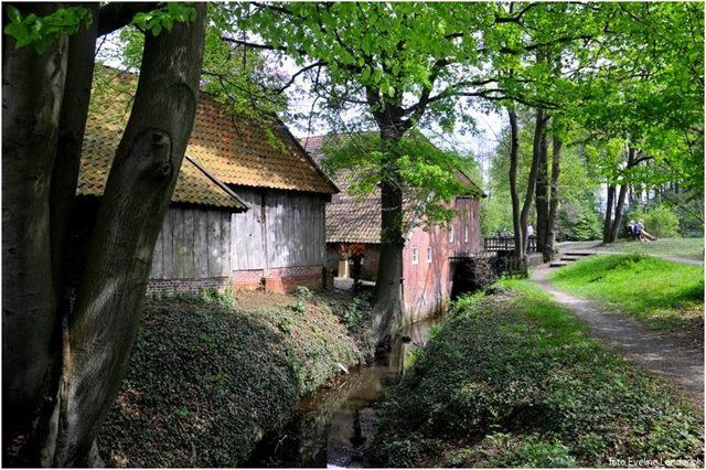 Watermolen "Frans"Foto: Evelyn Landerink