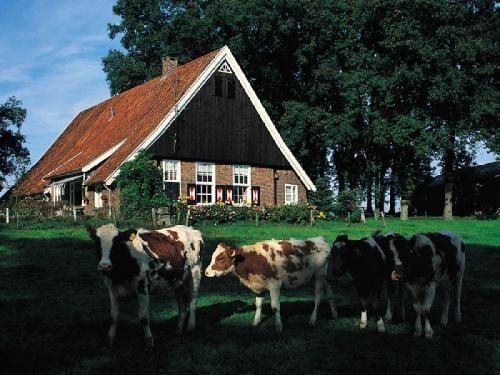 foto: onbekend