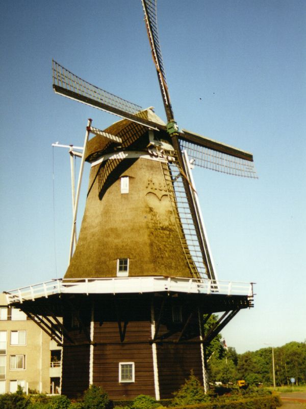 Konijnenbelt - Molen in Ommen