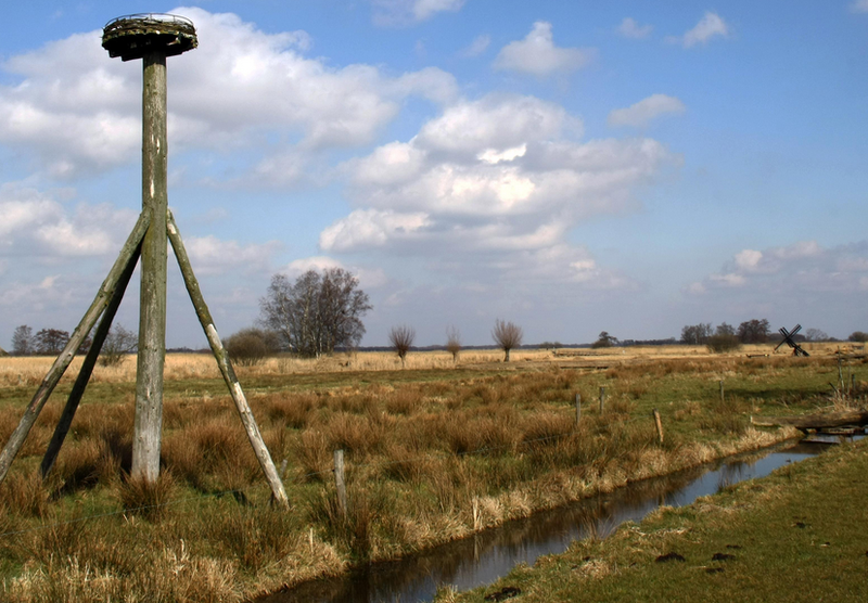 Fietspad naar Roekebosch