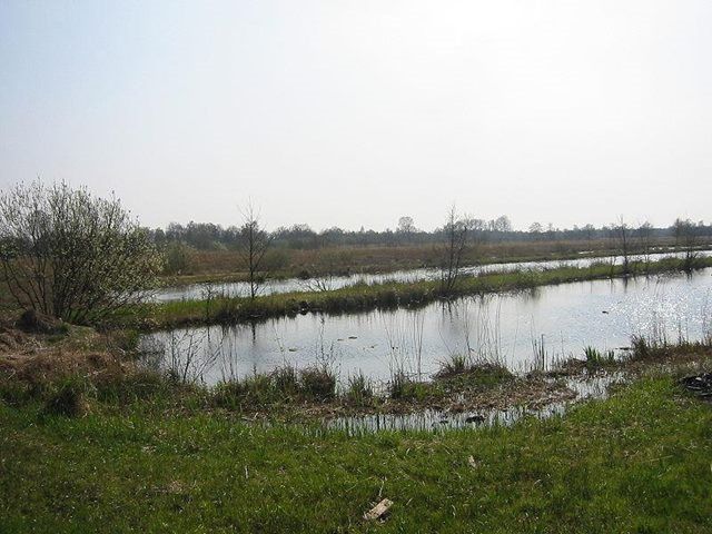 Scheerwolde is gelegen aan de rand van de Weerribben