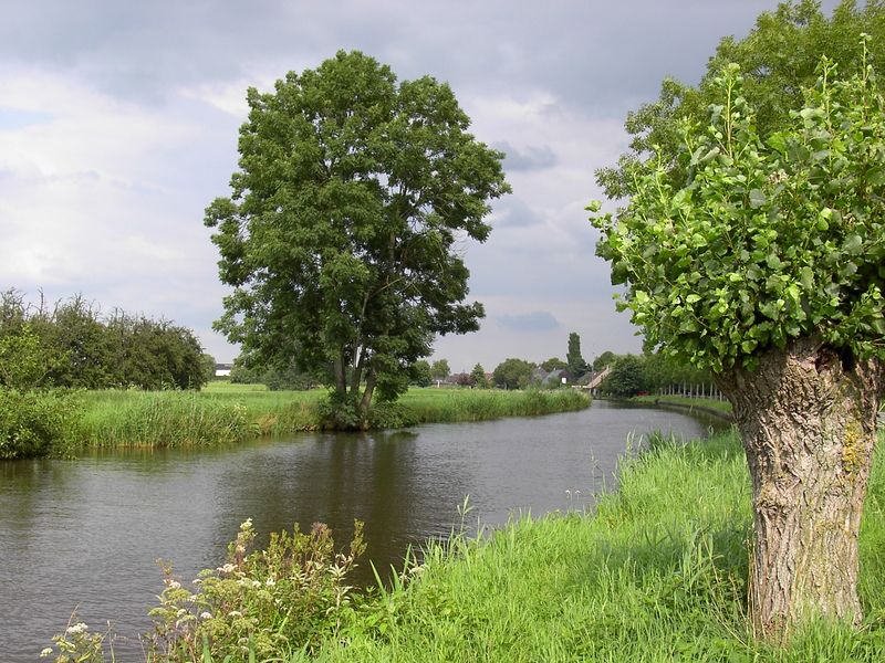 Natuur alom - Montfoort-Willeskop