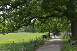 Utrechts Landschap - wandelroutes