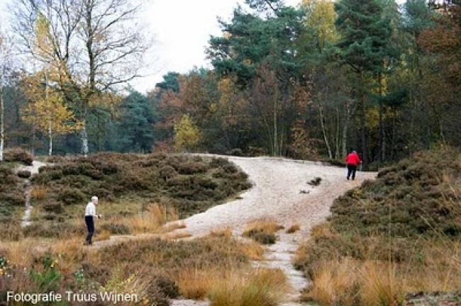 Wandelen in de omgeving Drakensteyn.