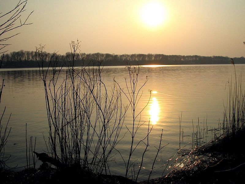 De Maarsseveenseplassen