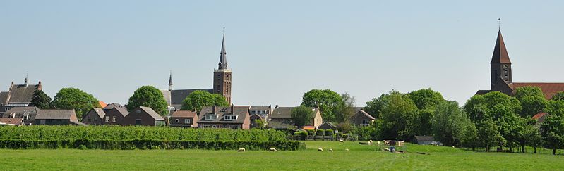 Gezicht op Montfoort