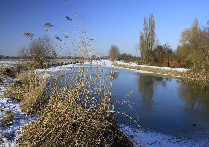 Winterse omgeving van Tull en 't Waal. Foto: Jan Dijkstra