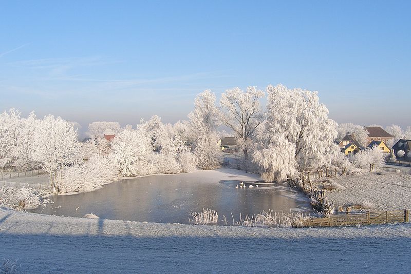 Uitweg in de winter<empty>