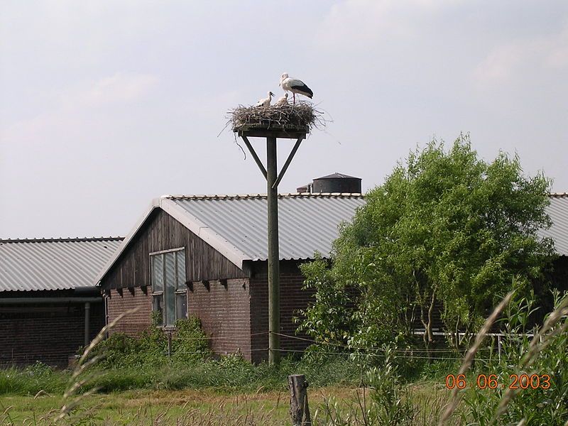 Ooievaarsdorp Zegveld