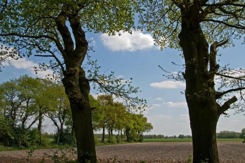 Herkomst foto onbekend