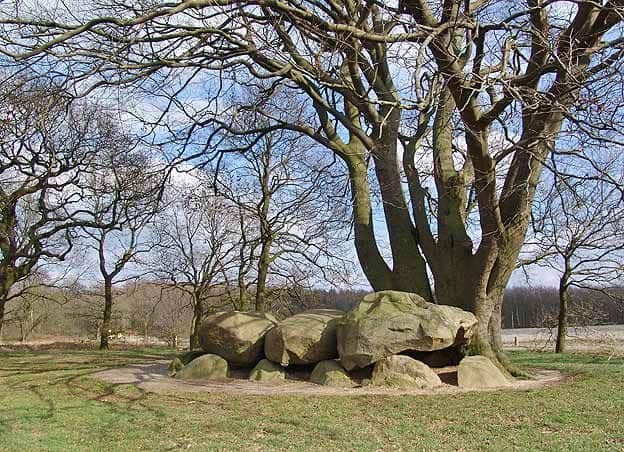 Hunebed D21 bij Bronneger.