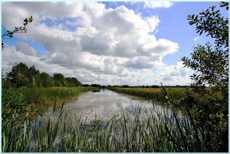 Landschap bij De Haar.