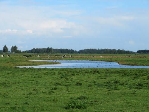 Landschap bij Eexterzandvoort