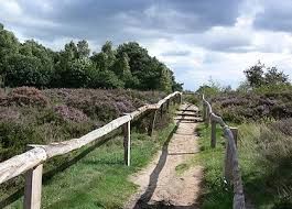 Prachtige natuur in de omg. Havelte