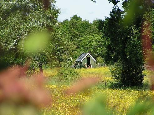 sfeeropname in Nietop - Herkomst foto onbekend