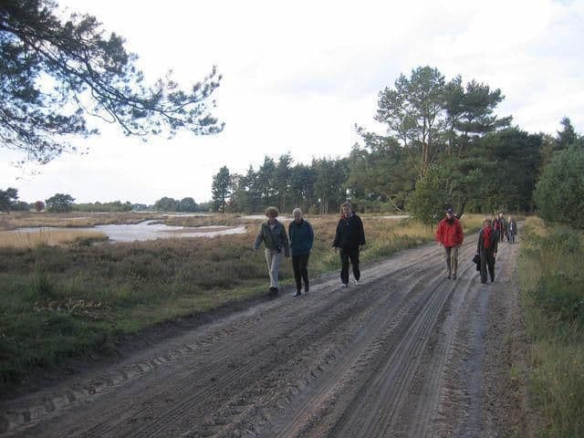 Wandelen in de omgeving  van Nijensleek