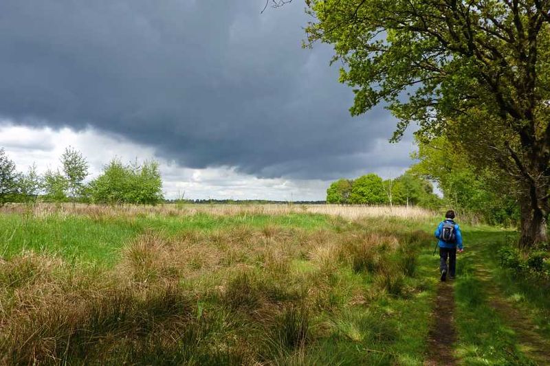 Wandelen in de omgeving van Vledder