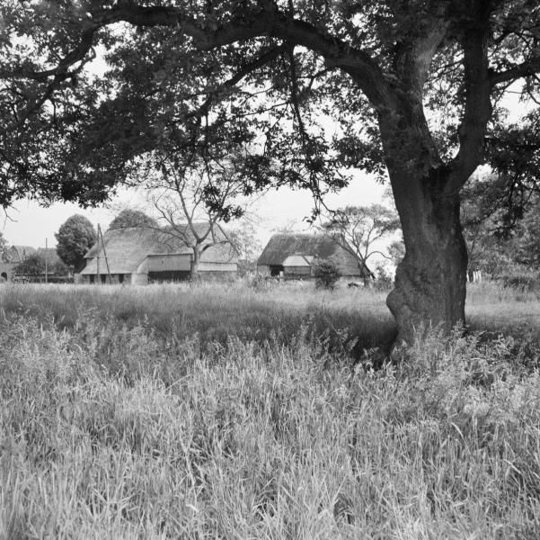Binzondere boerderijen in Vlieghuis